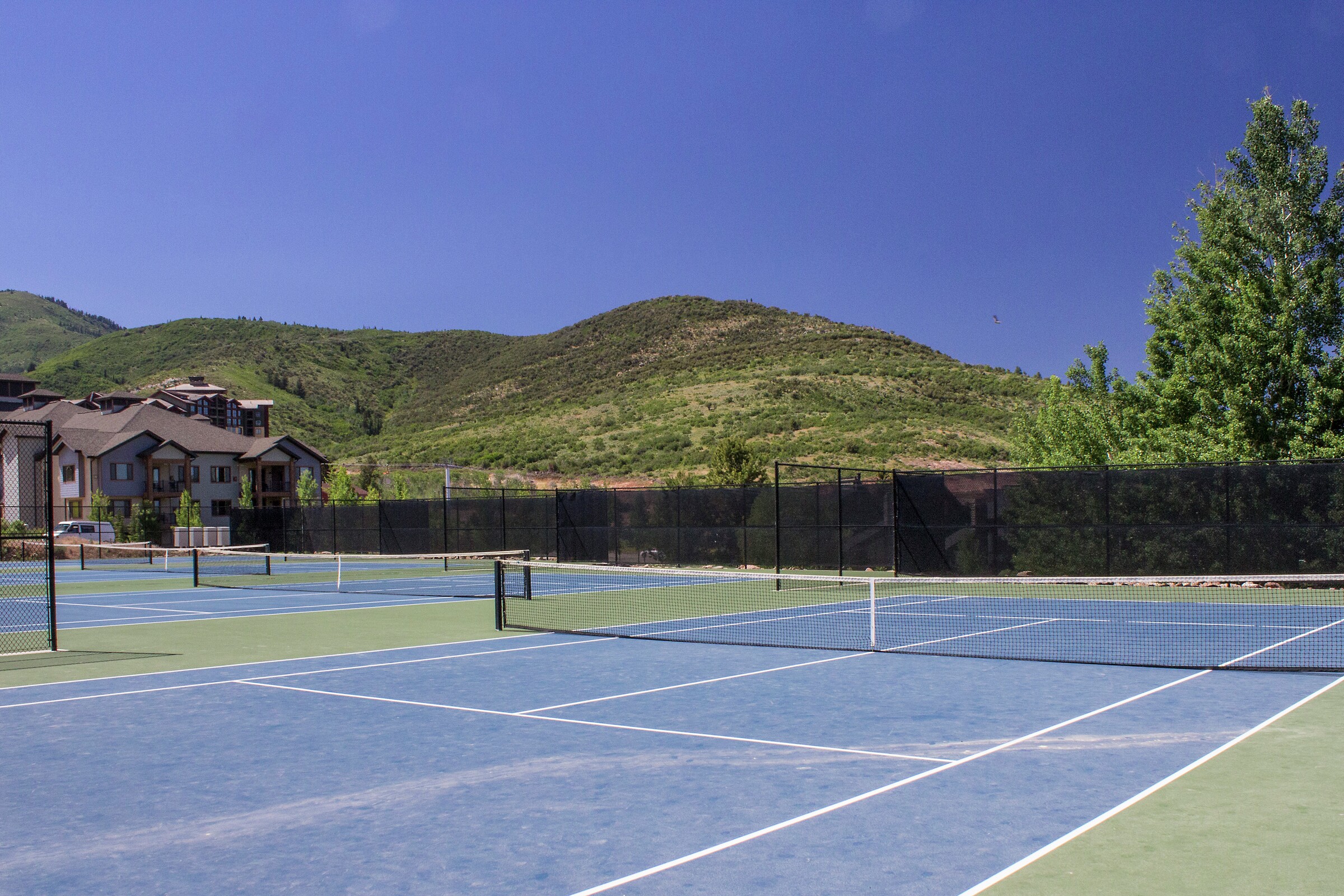 Tennis Courts