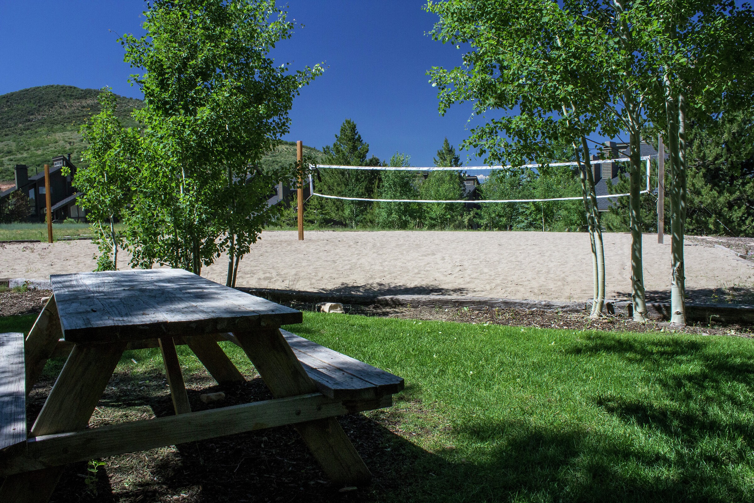 Volleyball Court