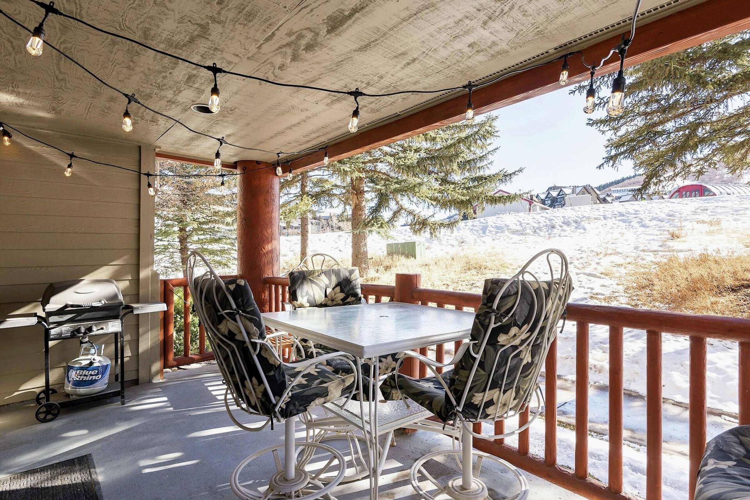 Patio with BBQ