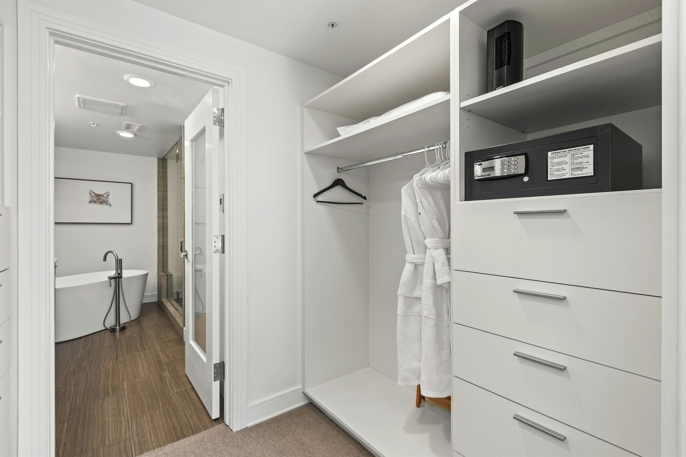 Master Walk-in Closet