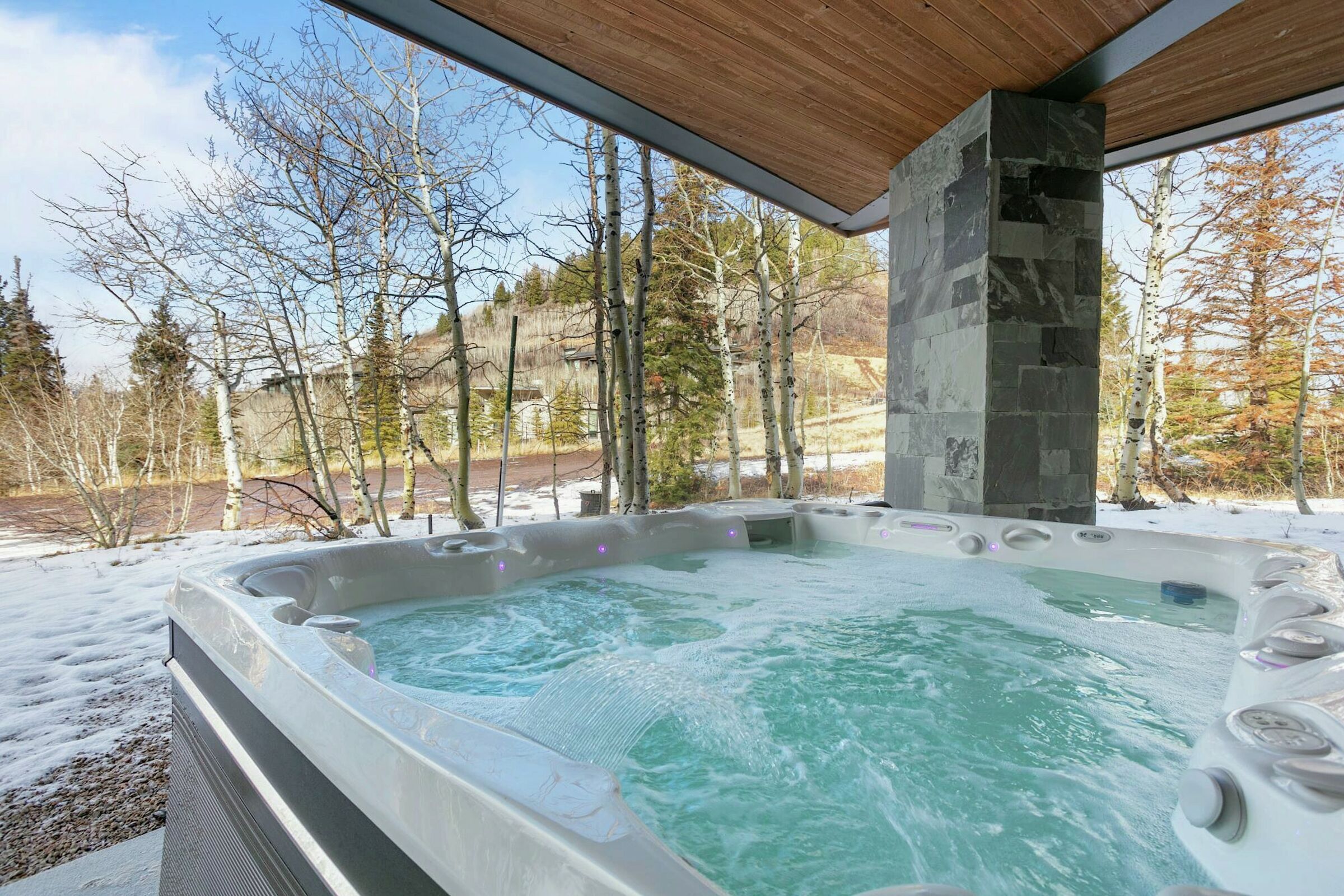 Patio with Hot Tub