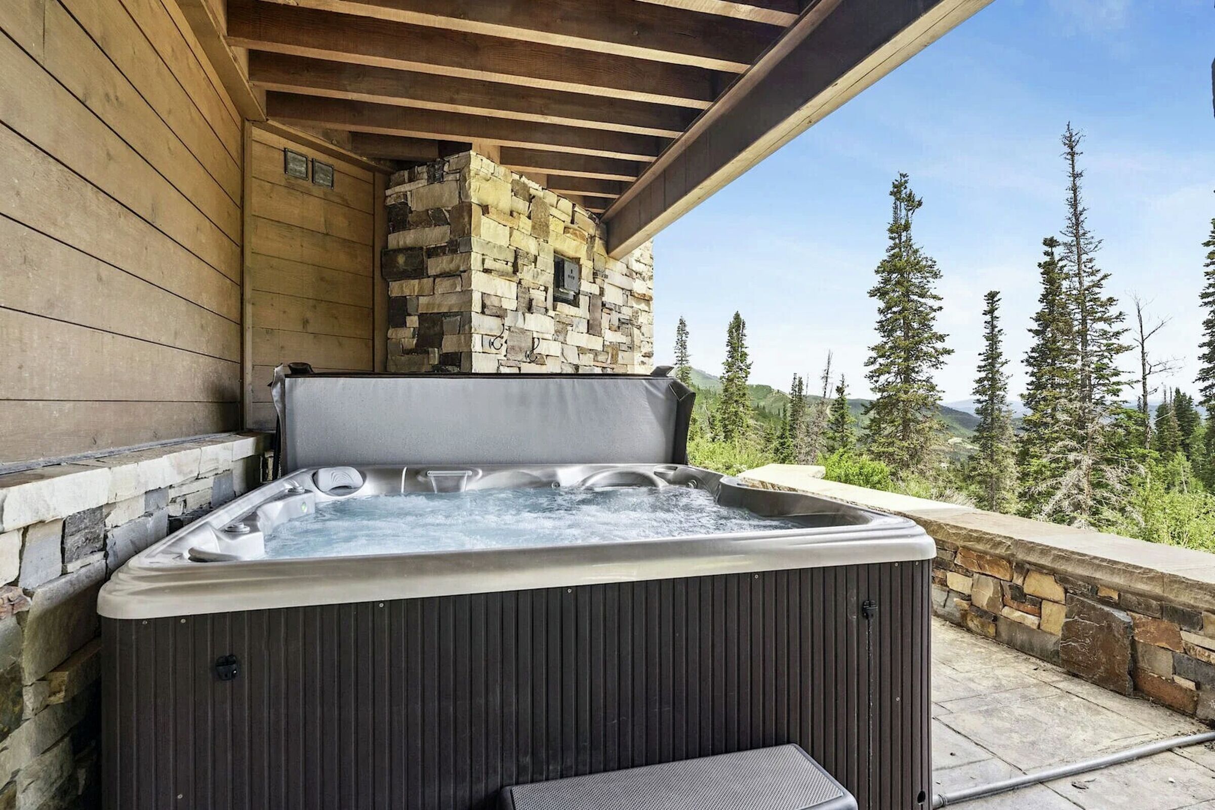 Patio with Hot Tub