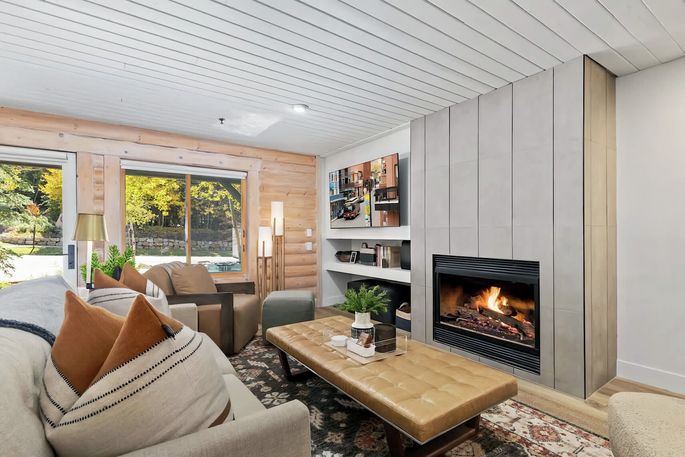 #105 - Living Area