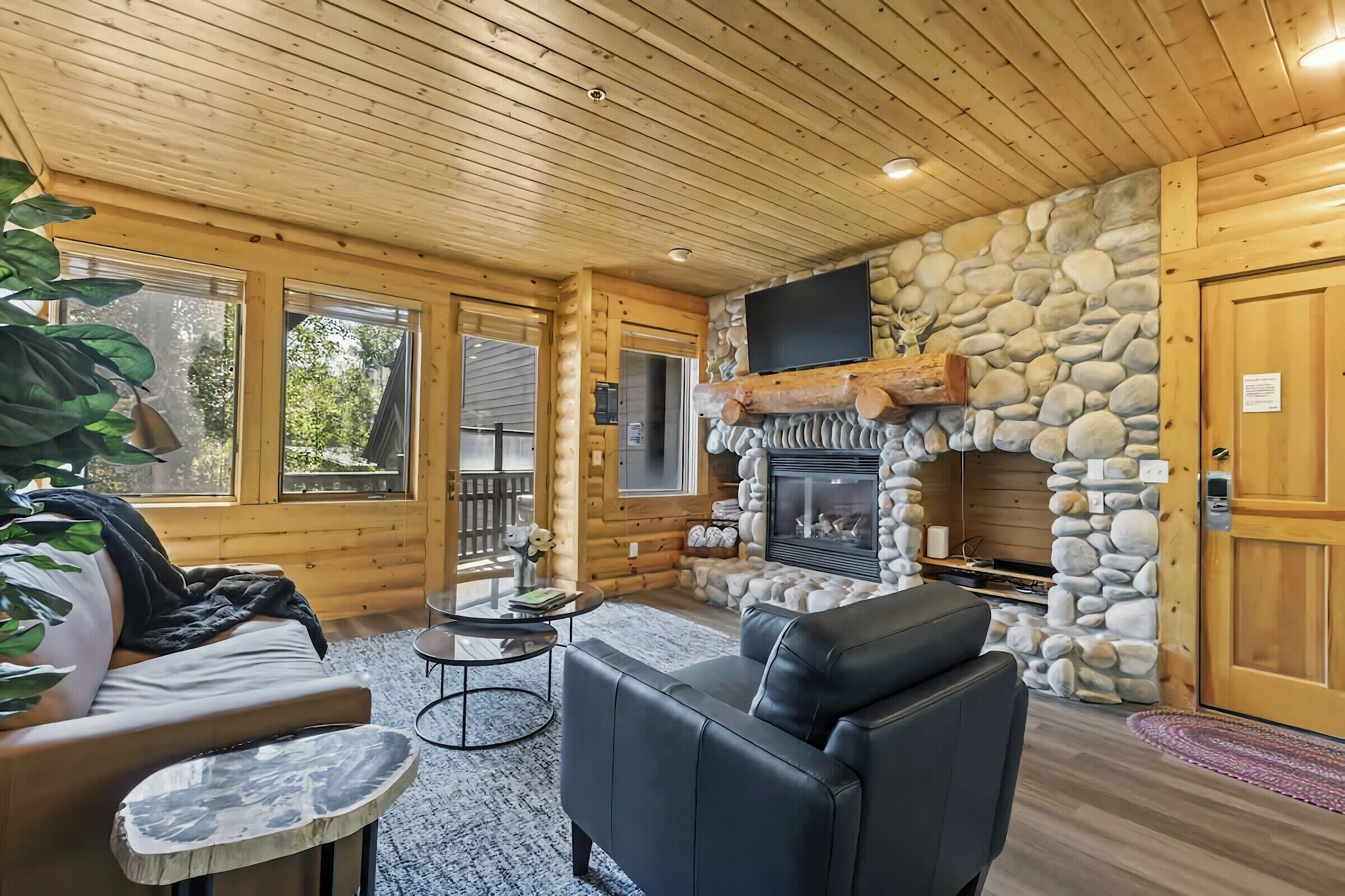 #353 - Living Area