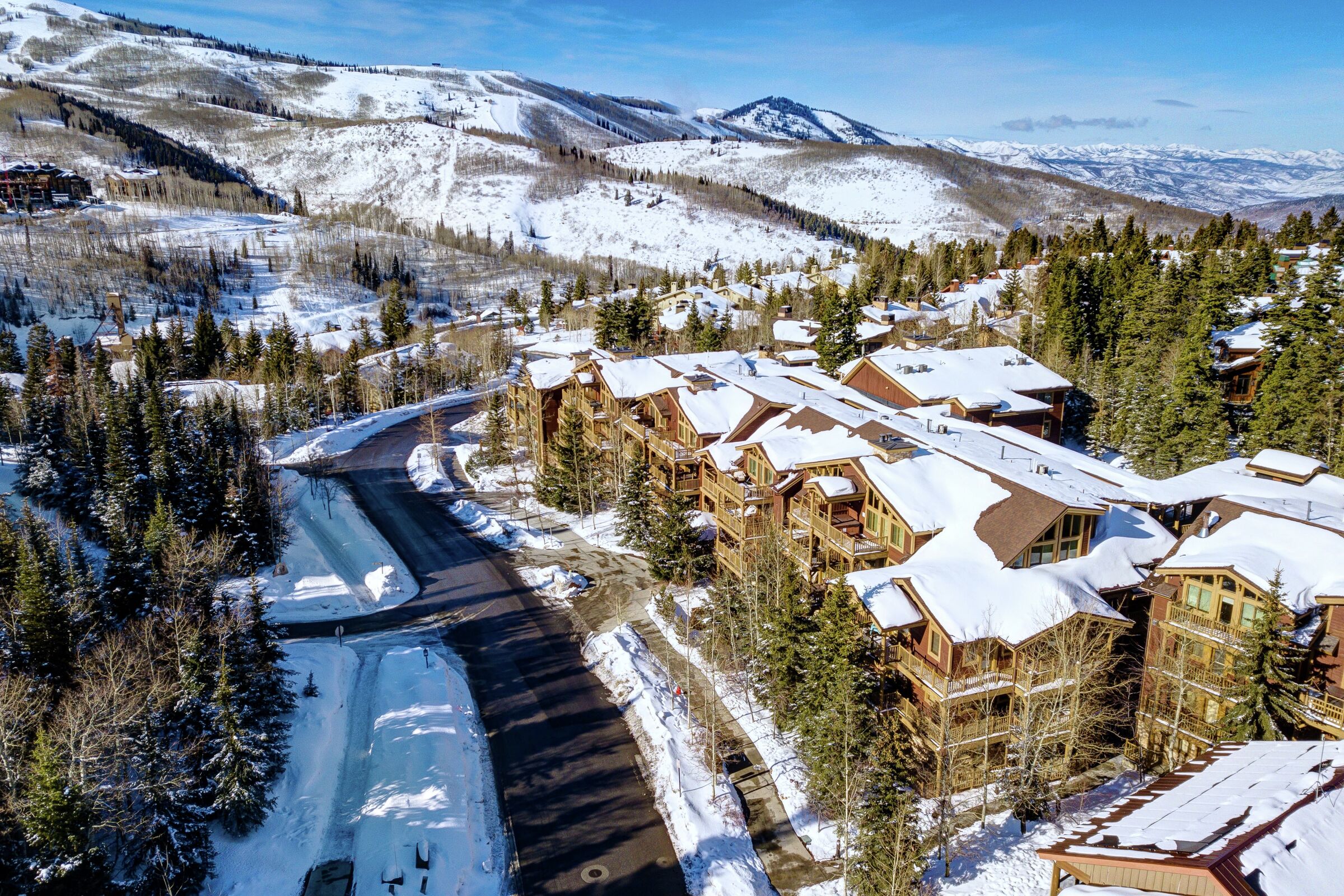 Black Bear Lodge