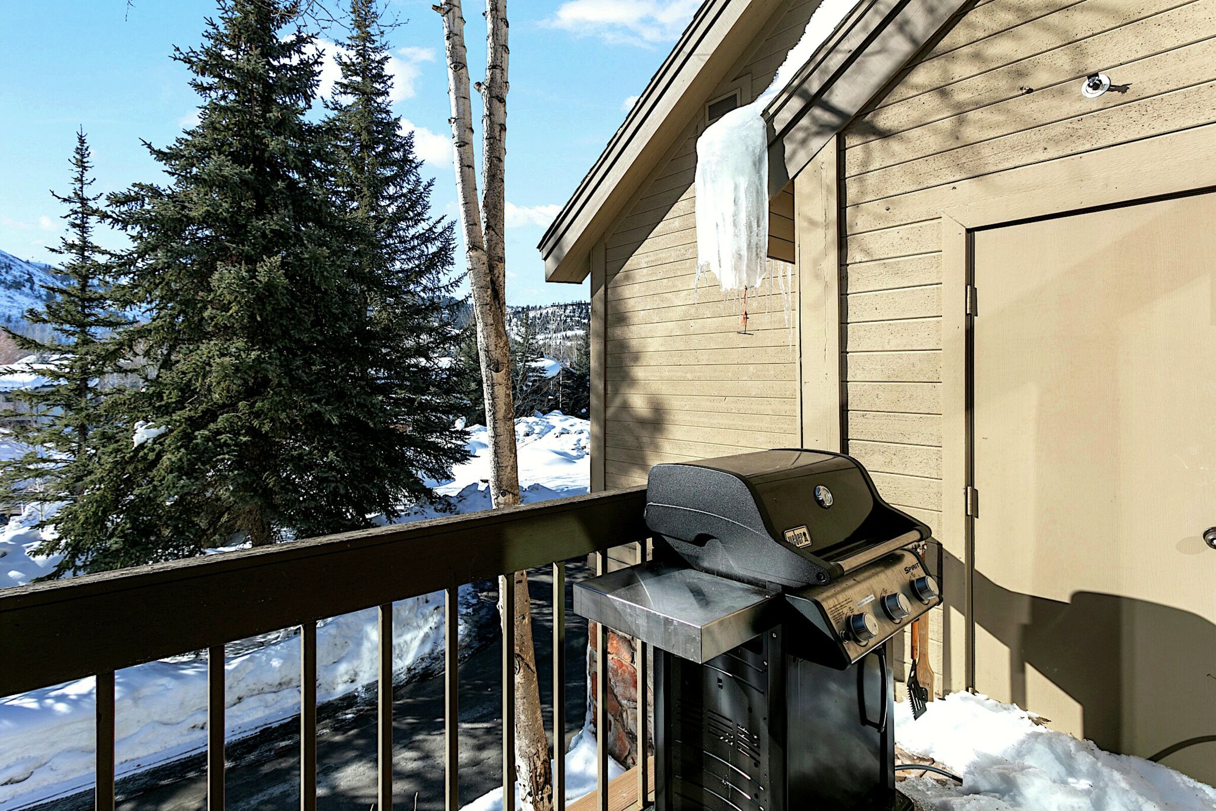 Patio with BBQ