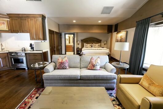 Studio Living Area, Sleeping Area & Kitchen