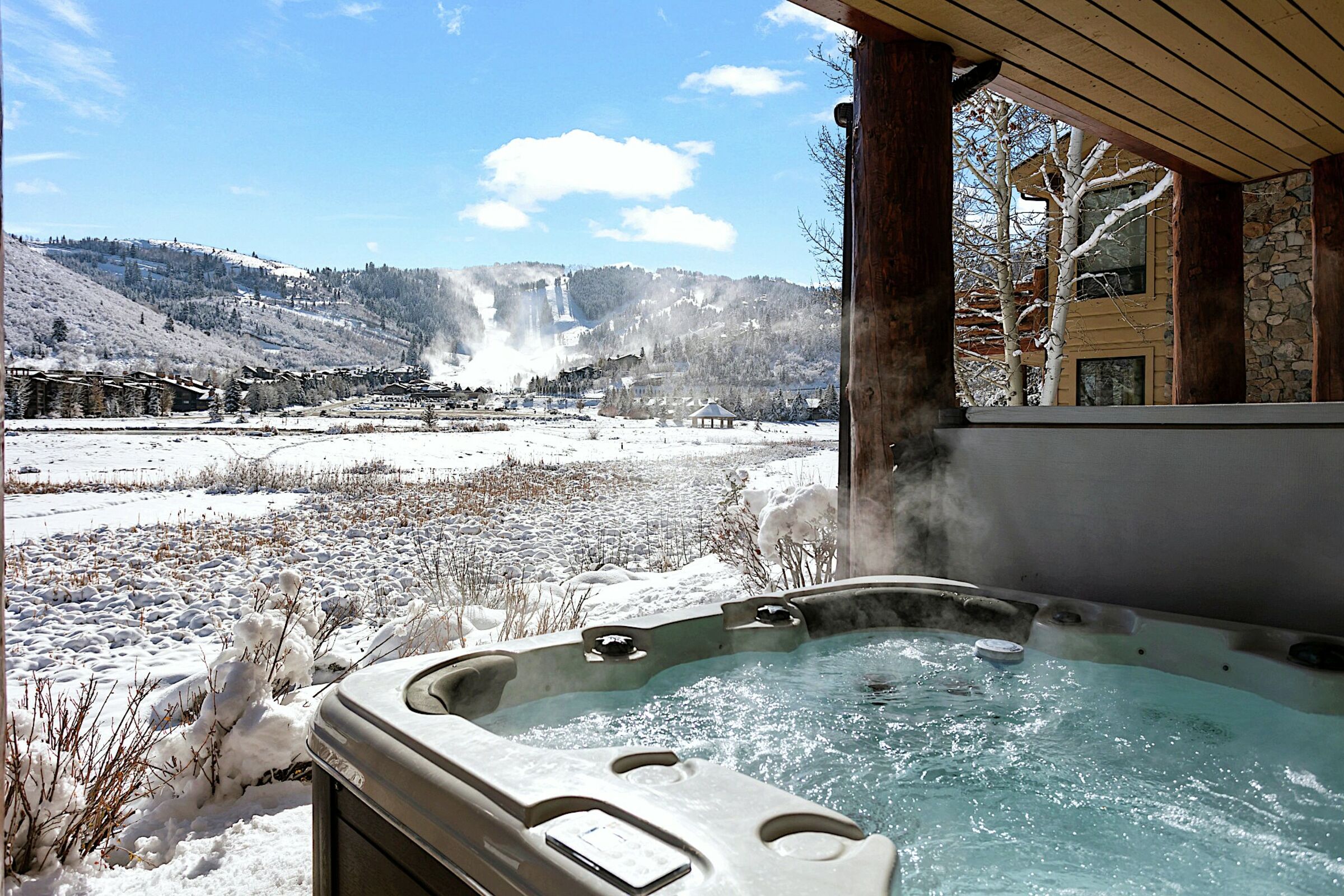 Patio with Hot Tub
