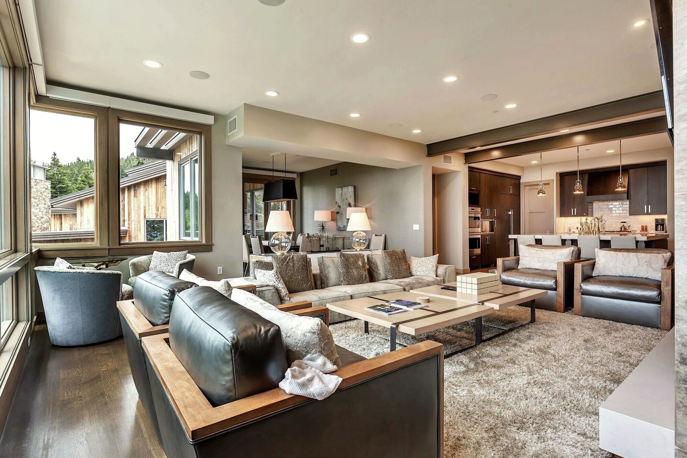 Living Area, Dining Area & Kitchen