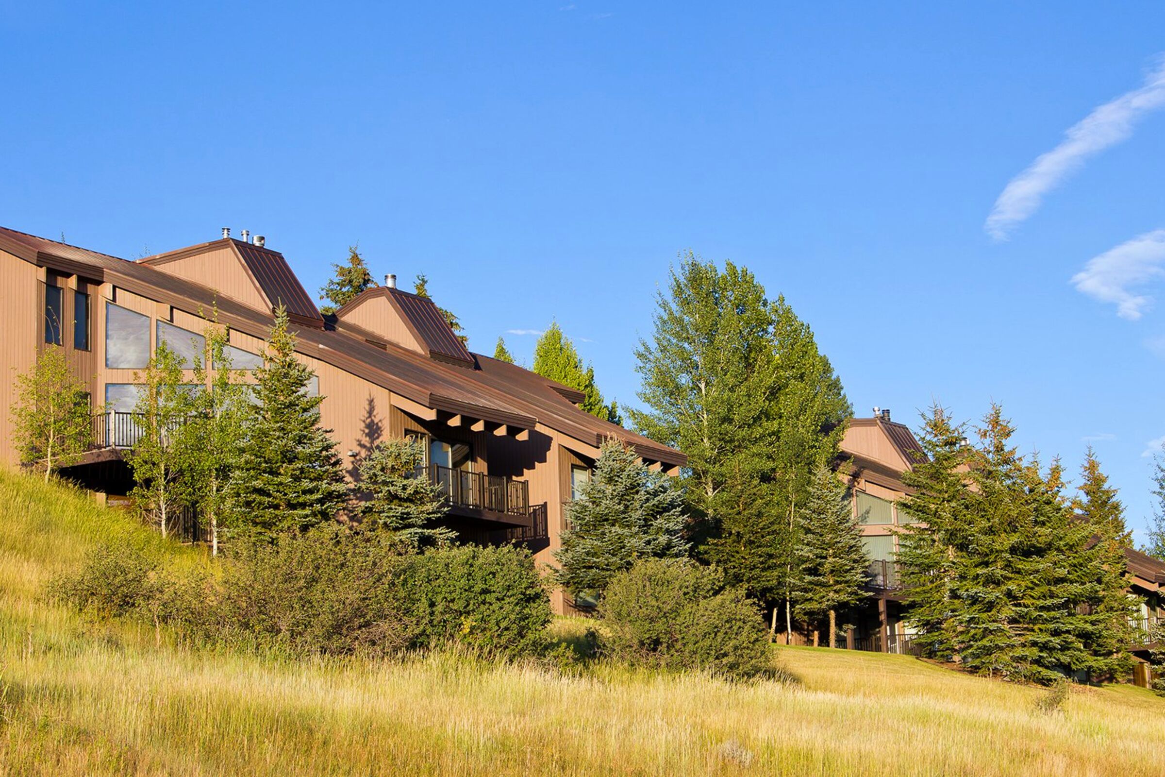 Pinnacle Townhomes