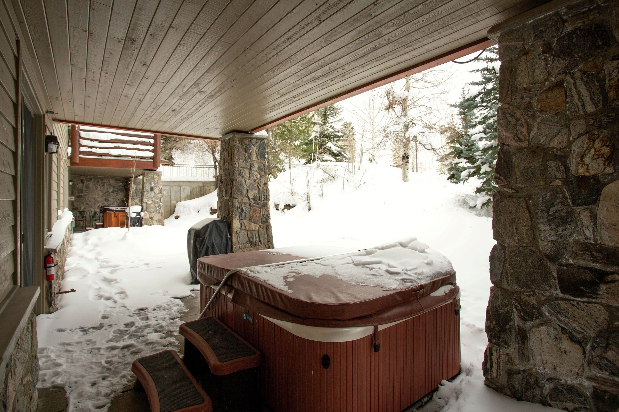 Patio with Hot Tub