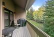 Gallery Thumbnail (#1679 - Balcony with BBQ)