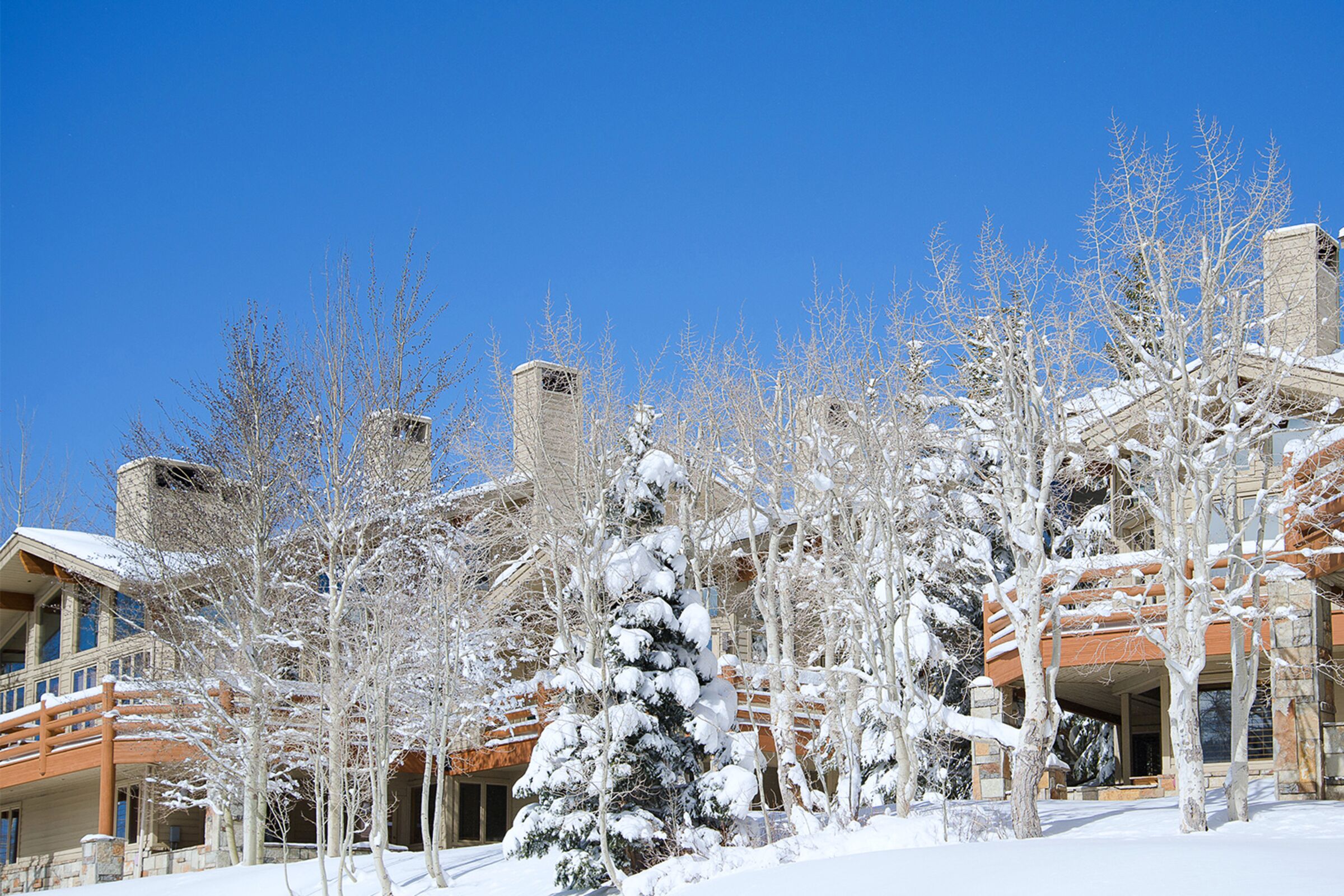 Twin Pines