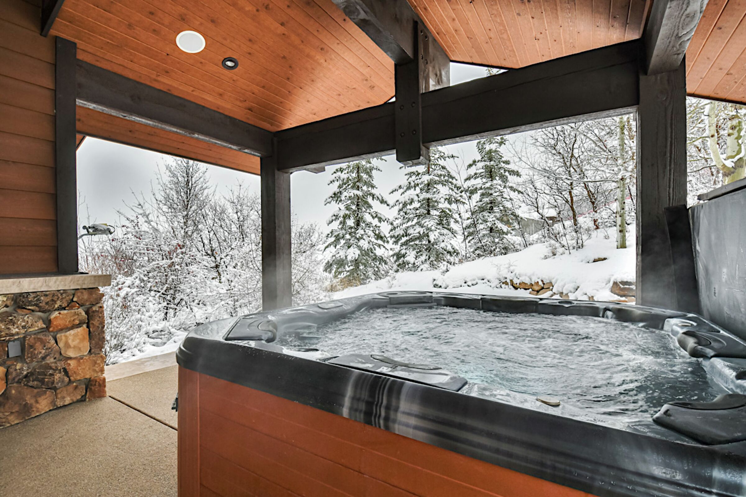 Deck with Hot Tub