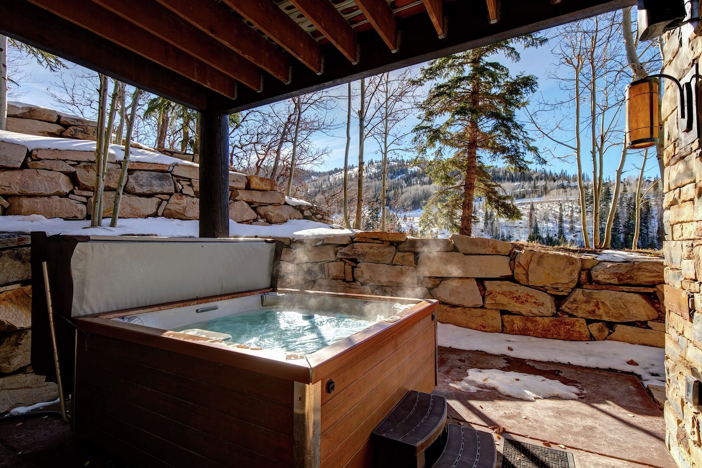 Patio with Hot Tub