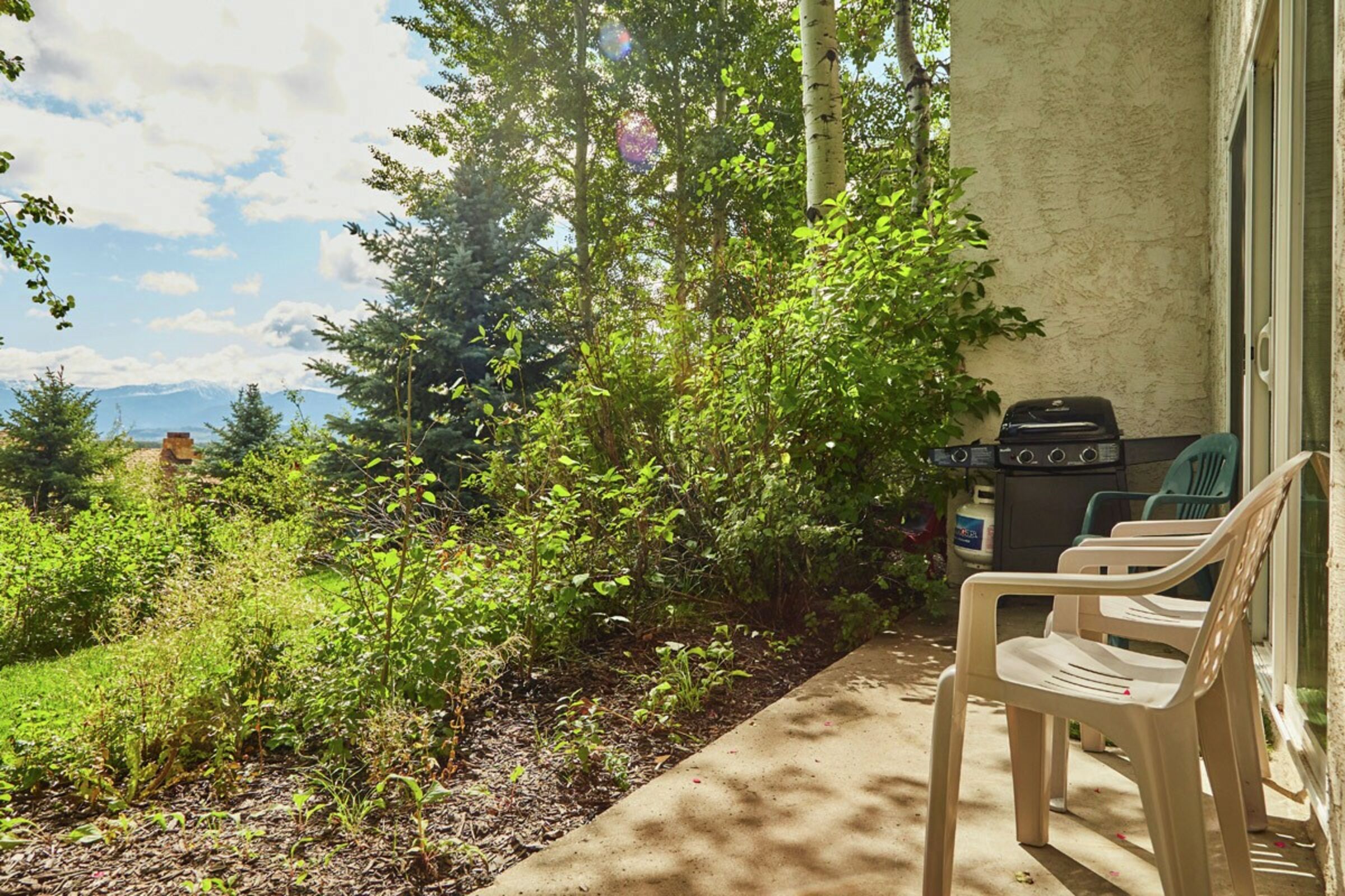 Patio with BBQ
