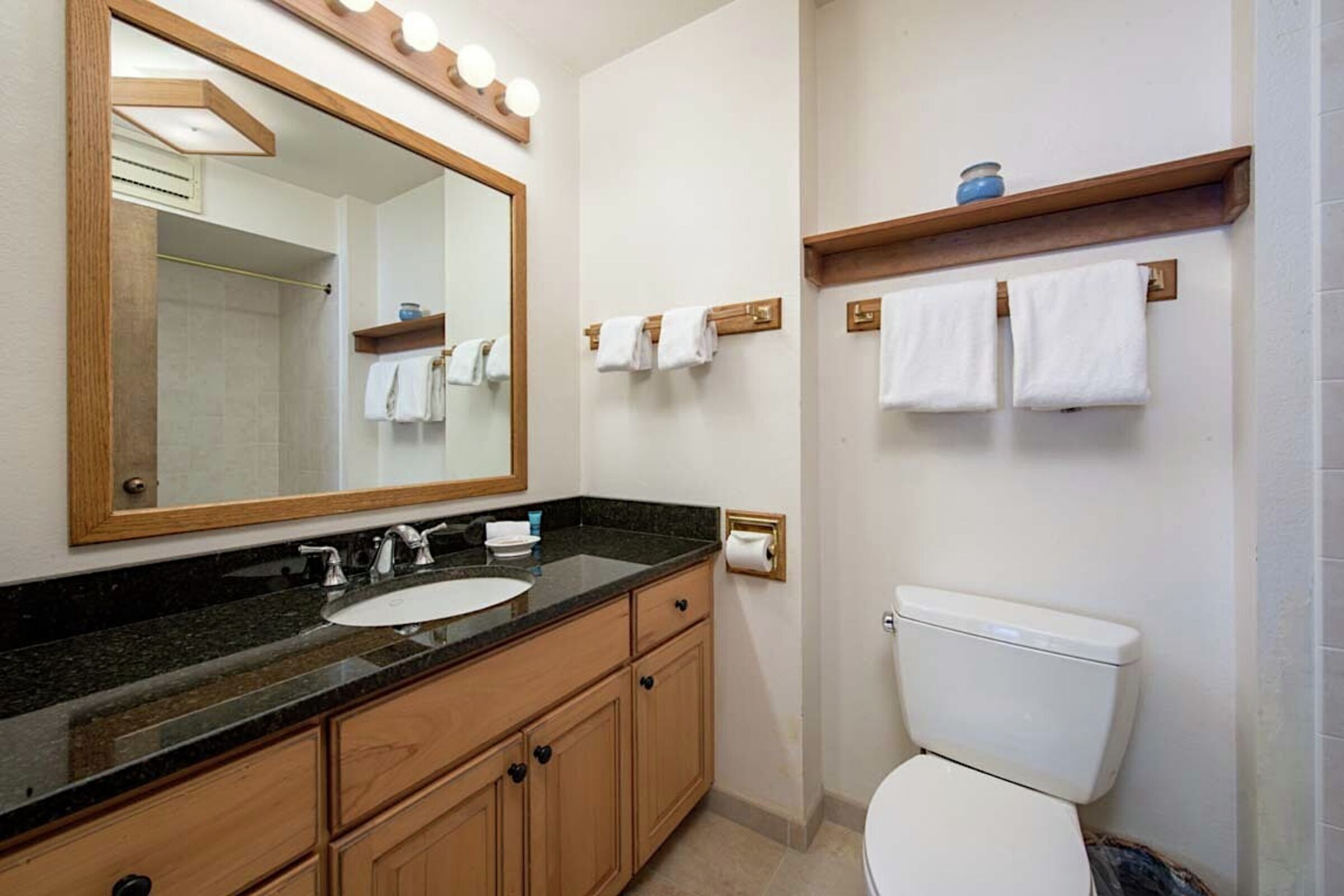 Teewinot A5 - Master Ensuite Bathroom