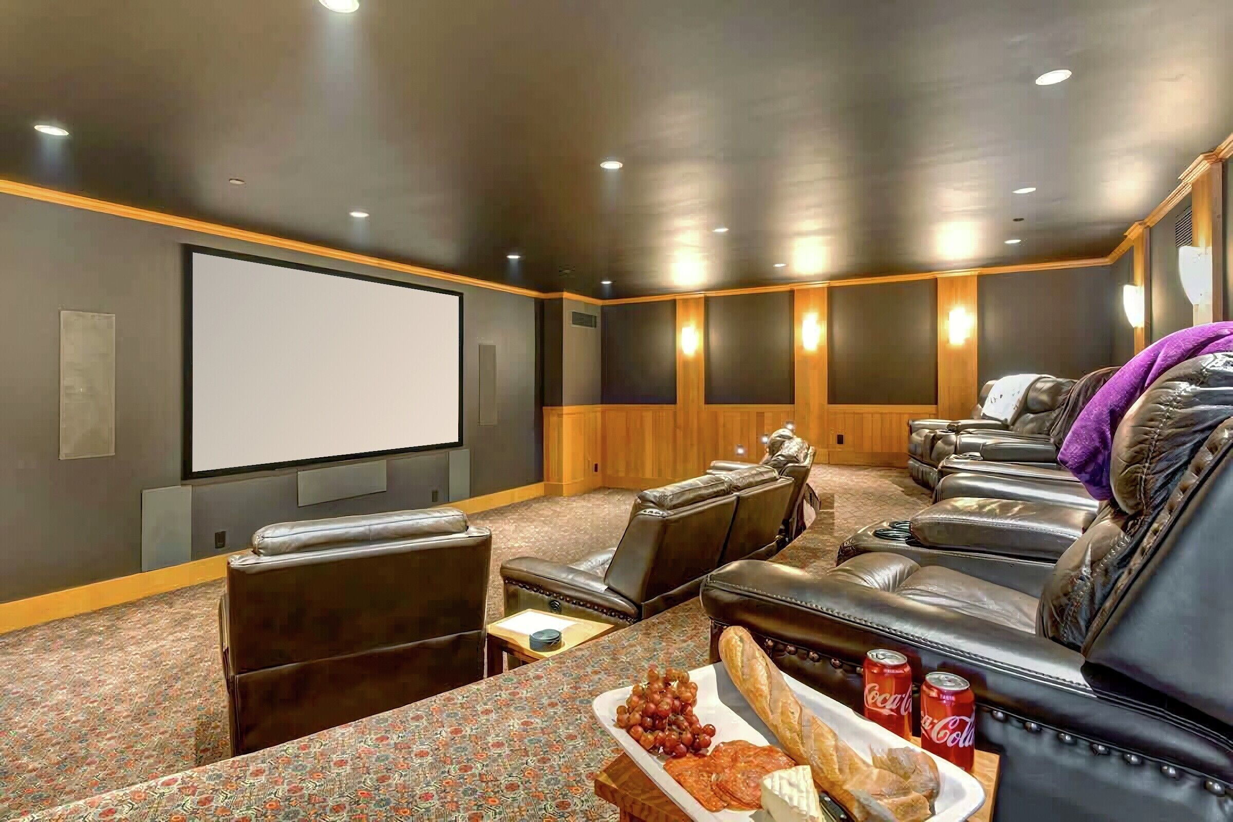 Theatre Room