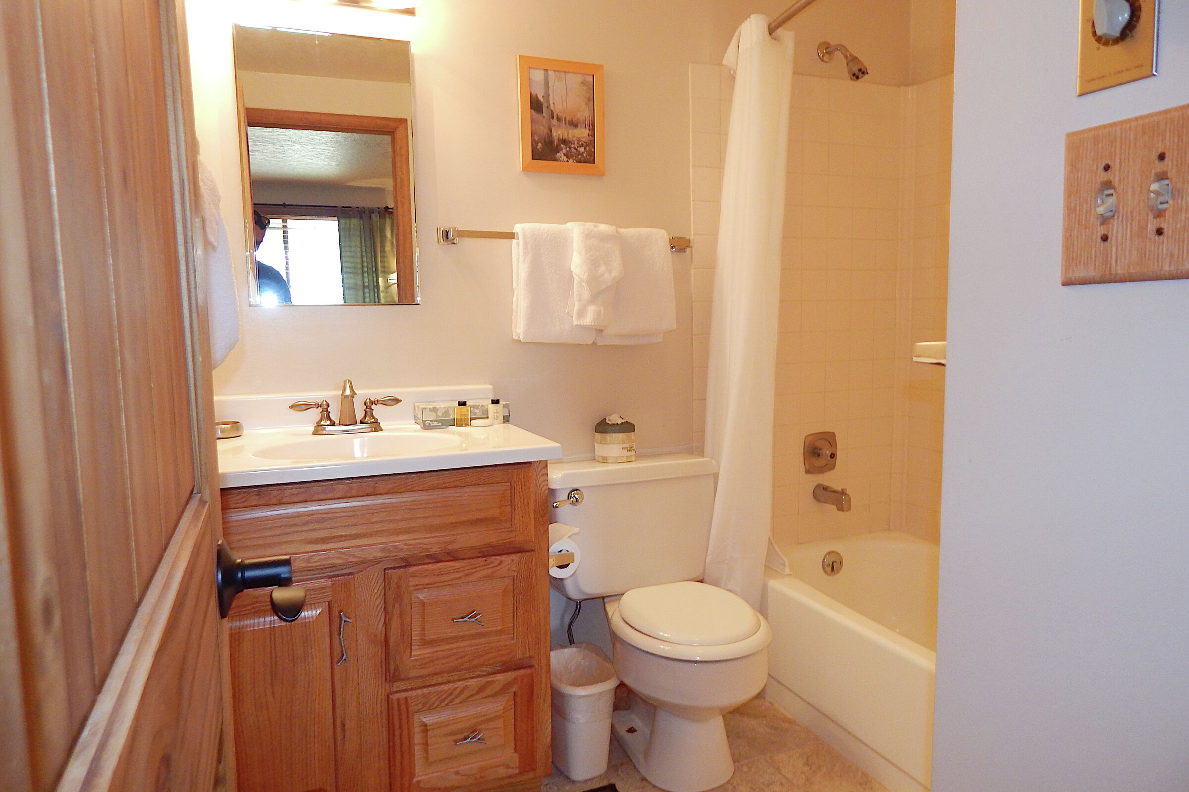 #0711 - Ensuite Bathroom
