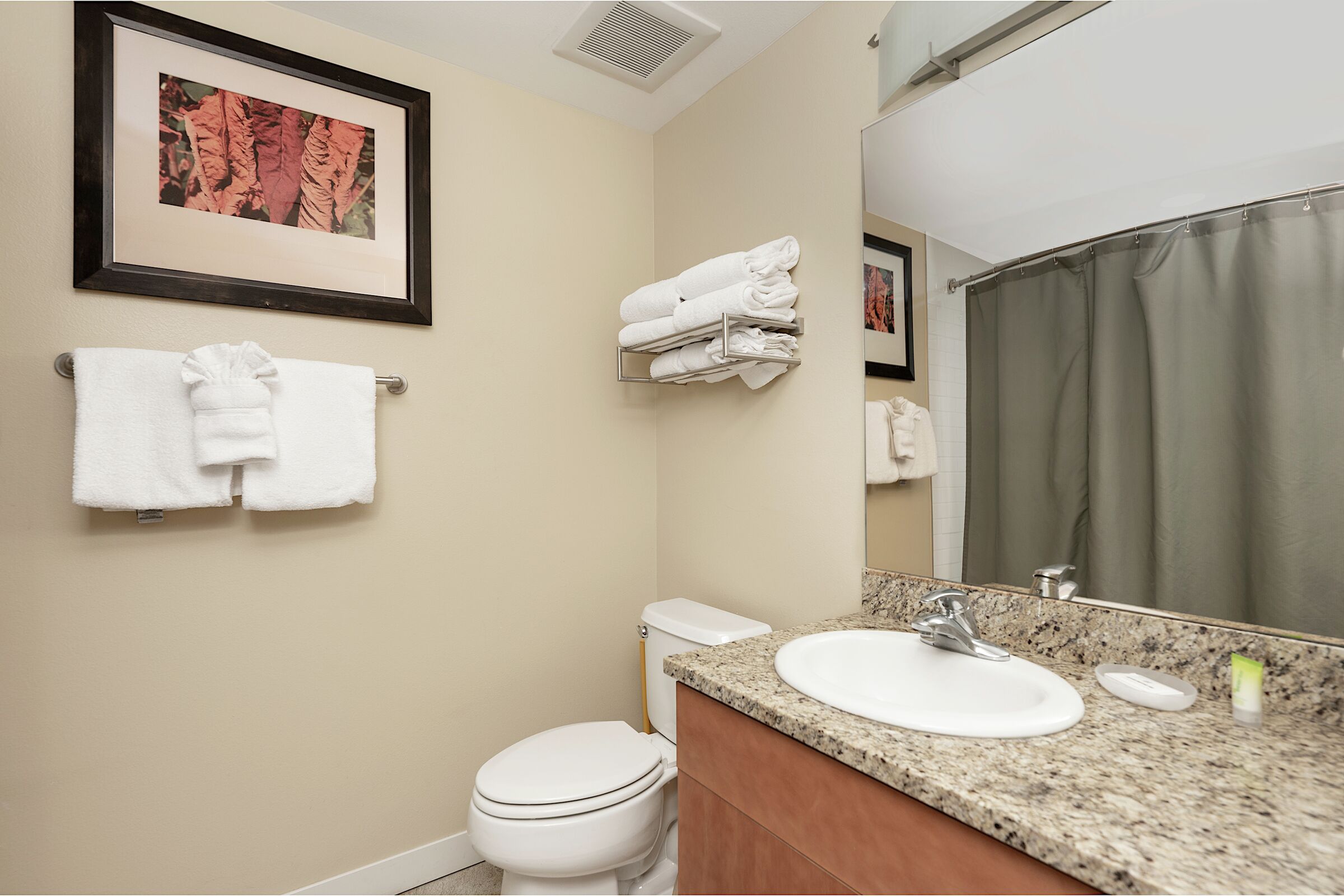 Studio Bathroom