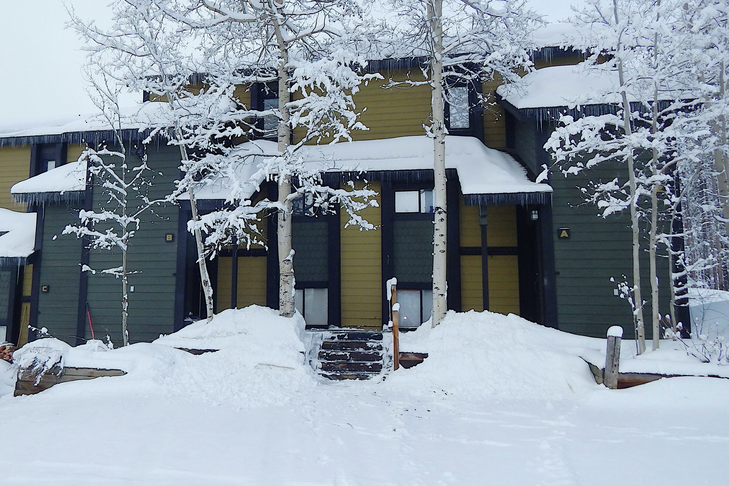 Timber Ridge