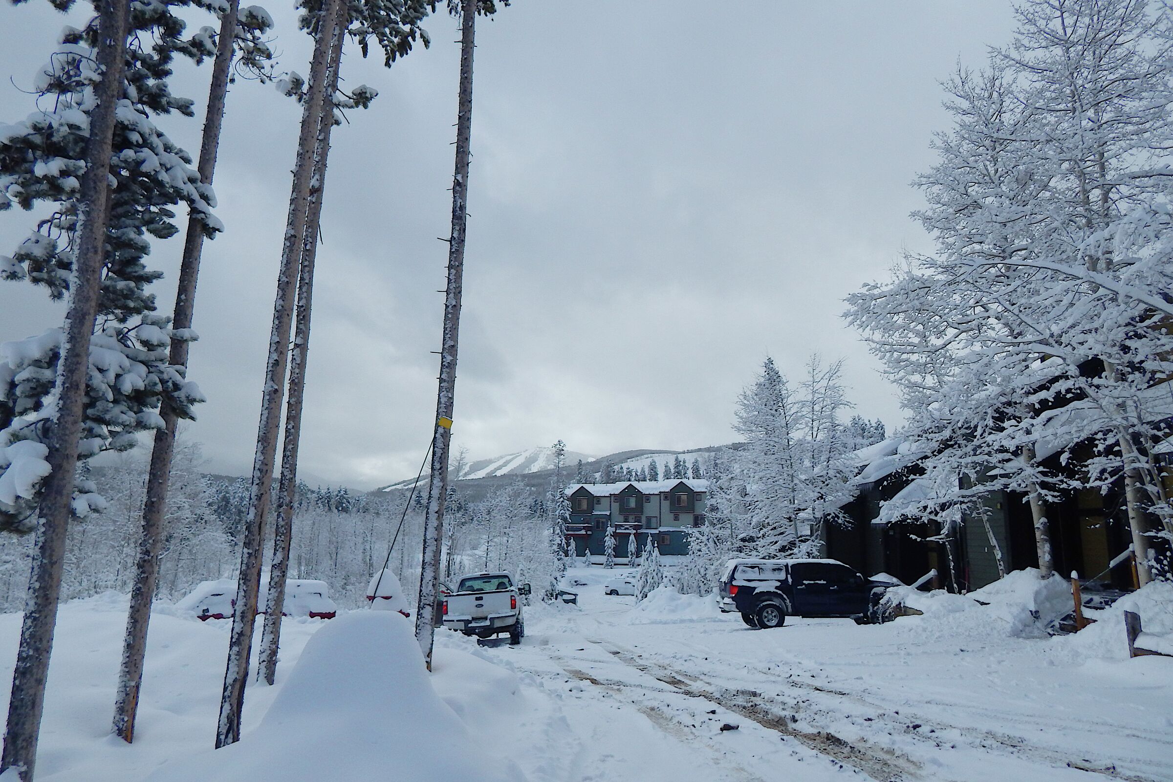 Timber Ridge