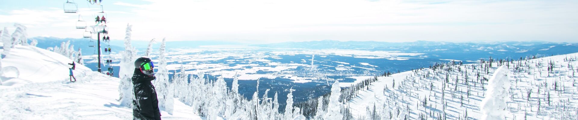 Whitefish