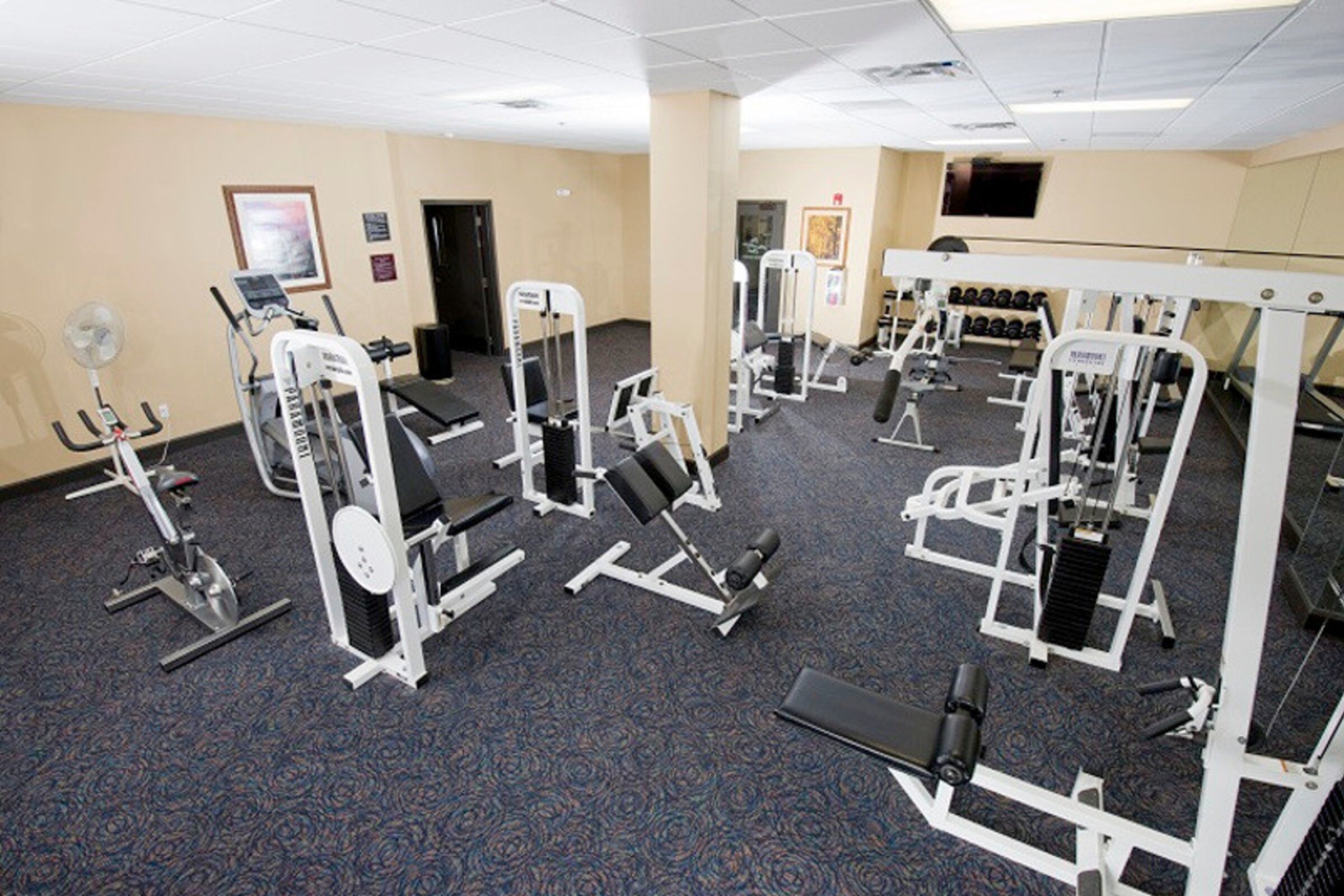 Gymnasium