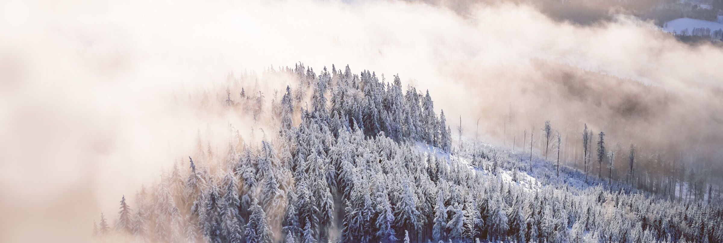 Banner 11