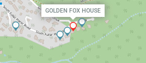 Mini map preview